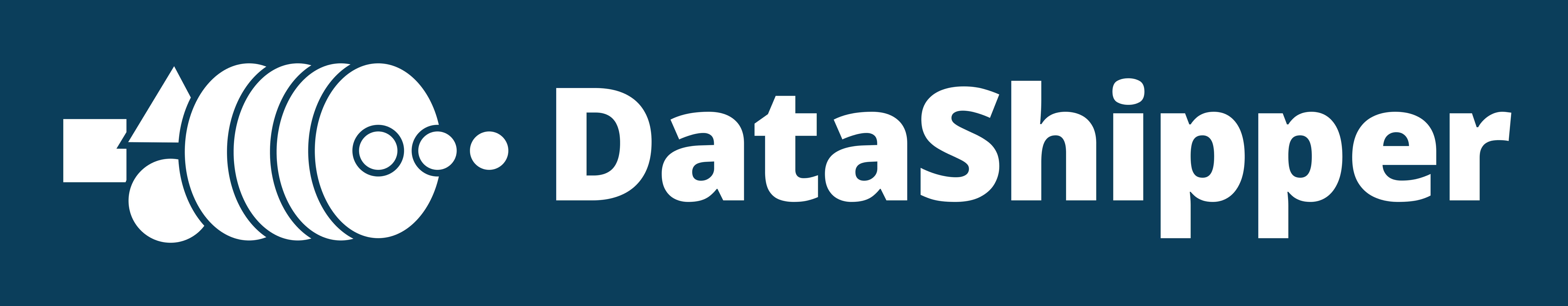 DataShipper Logo